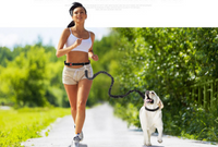 Fast selling new factory fitness belt, nylon dog rope sports pet products, dog running reflex traction rope
