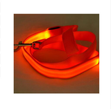 LED Illuminated Traction Nylon Pet Leash